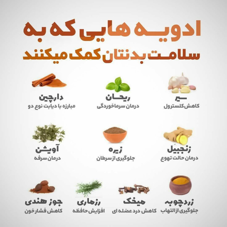 ادویه مونولیزا
