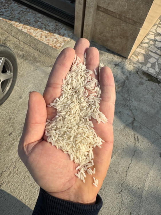 Tarom rice with indian rice
