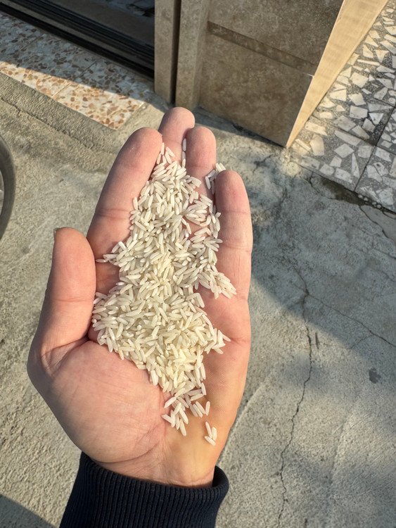 Tarom rice with indian rice