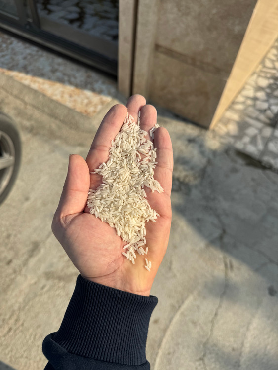 Tarom rice with indian rice