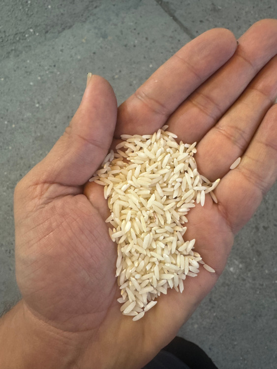 برنج طارم بابل ممتاز
