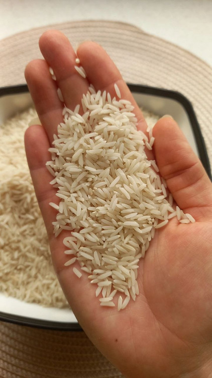 برنج طارم بابل ممتاز