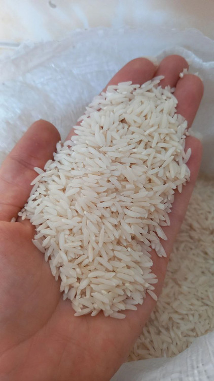 برنج طارم بابل ممتاز