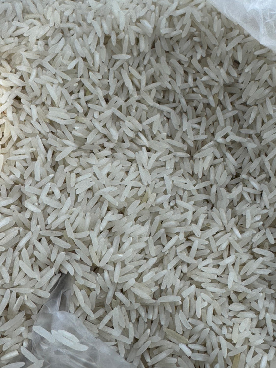 برنج کشت دو ممتاز اصل مازندران فریدونکنار