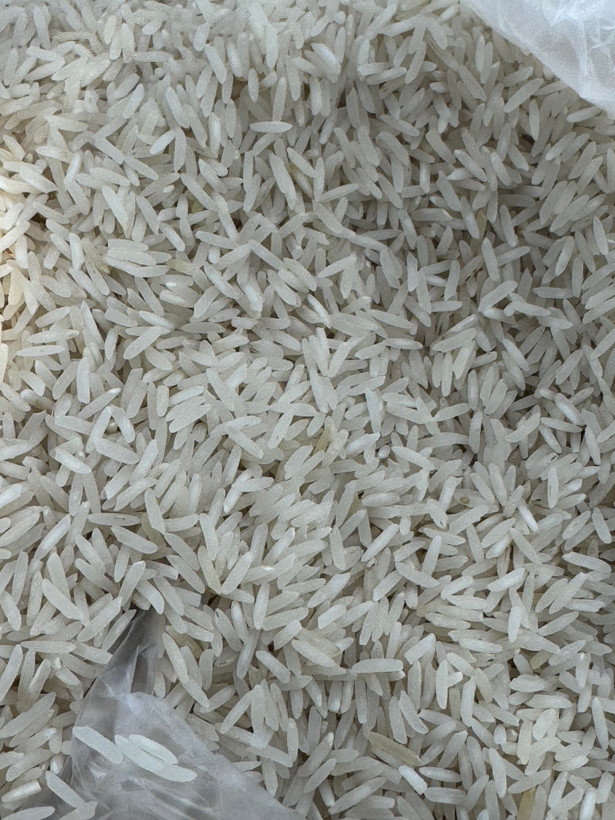 برنج کشت دو ممتاز اصل مازندران فریدونکنار