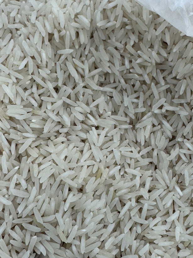 برنج کشت دو ممتاز اصل مازندران فریدونکنار