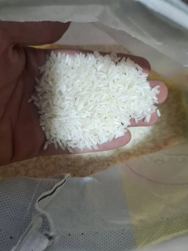 برنج پاکستانی IRRI 6 هولوسن